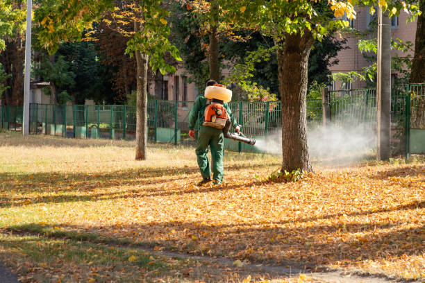 Pest Prevention Services in Verandah, FL